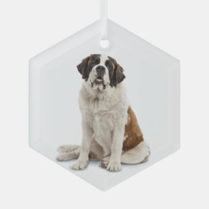 St. Bernard Dog Pet Animal Glas Ornament