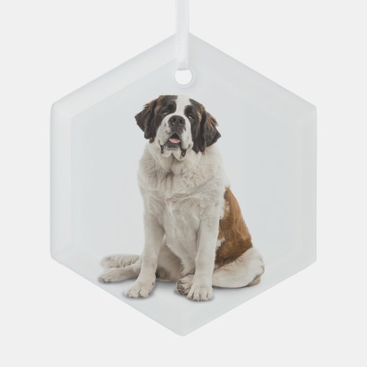 St. Bernard Dog Pet Animal Glas Ornament (Voorkant)