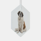 St. Bernard Dog Pet Animal Glas Ornament (Voorkant Rechts)