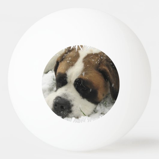 St Bernard Dog Pingpongbal (Voorkant)