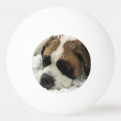 St Bernard Dog Pingpongbal (Achterkant)