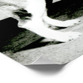 St. Bernard Dog Poster (Hoek)