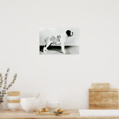 St. Bernard Dog Poster (Keuken)