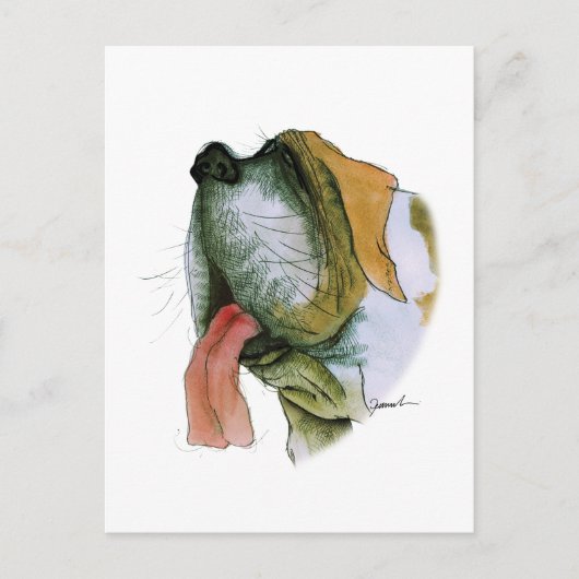 st bernard dog , tony fernandes briefkaart (Voorkant)