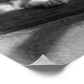 St. Bernard Dog Vintage 1917 Poster (Hoek)