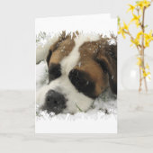 St Bernard Dog Wenskaart Kaart (Gele Bloem)