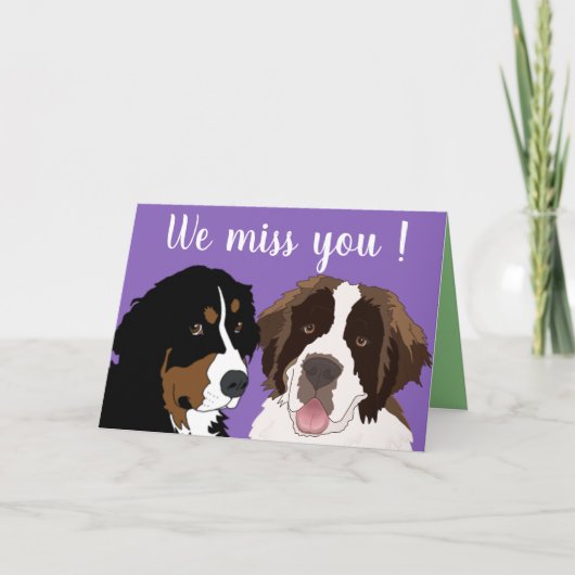  St. Bernard en Bernese Mountain Dog C Kaart (Voorkant)