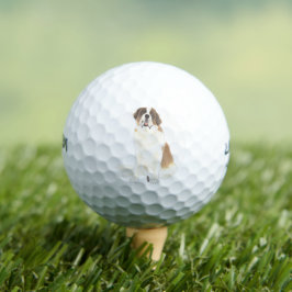 St. Bernard Golfballen
