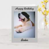 ST. BERNARD GROET AAN MIJN "ZUS" VERJAARDAG KAART (Gele Bloem)