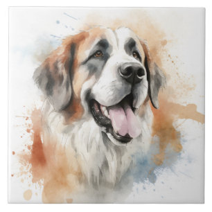 St. Bernard-hond, aquarel Tegeltje