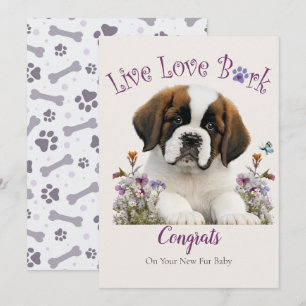 St. Bernard honden adoptie, Gotcha-dag Kaart