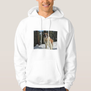 St. Bernard honden sweatshirt winter wear trui