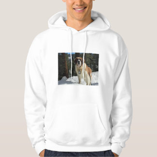 St. Bernard honden sweatshirt winter wear trui