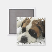 St Bernard hondenmagneet Magneet (Voorkant / Achterkant)