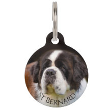 St Bernard