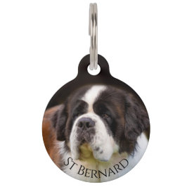 St Bernard Huisdierpenning