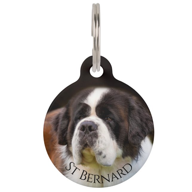 St Bernard Huisdierpenning (Voorkant)