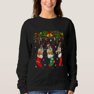 St Bernard in Sock Xmas Reindeer Santa Elf Dog Trui
