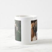 St. Bernard Koffiemok (Center)