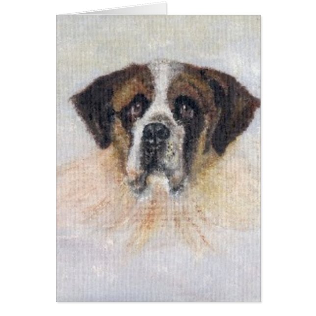 St Bernard Lucy (Voorkant)