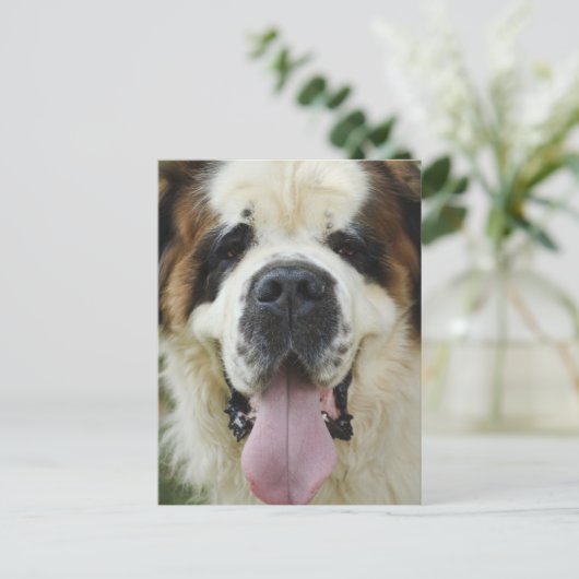 St Bernard Postard Briefkaart (Staand voorkant)