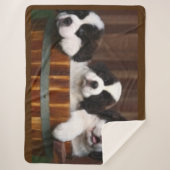 ST.BERNARD-PUPPIES SHERPA DEKEN (Voorkant)