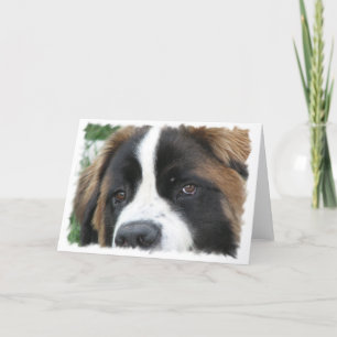 St Bernard Puppies Wenskaart Kaart
