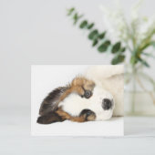 St. Bernard Puppy Briefkaart (Staand voorkant)