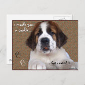St Bernard Puppy Cookie Briefkaart (Voorkant / Achterkant)
