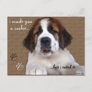 St Bernard Puppy Cookie Briefkaart