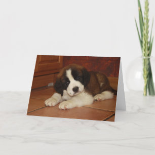 St. Bernard Puppy Kaart
