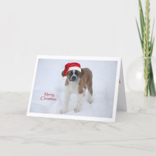 St Bernard Puppy Kerstmis Feestdagen Kaart