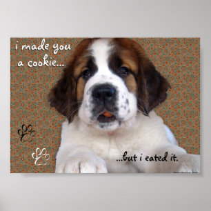 St Bernard Puppy Koek Poster