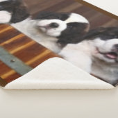 ST.BERNARD PUPPY'S SHERPA DEKEN (3/4)