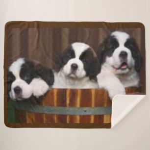 ST.BERNARD PUPPY'S SHERPA DEKEN