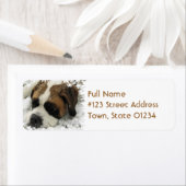 St Bernard retouradreslabel Etiket (Insitu)