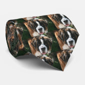 St. Bernard Stropdas (Opgerold)