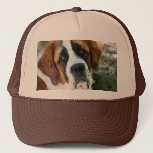 St. Bernard Trucker Pet (Voorkant)