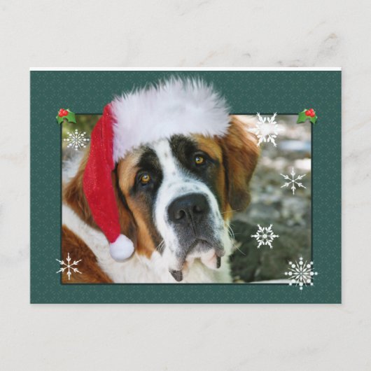 St. Bernard van Kerstmis de Foto van de Hond Feestdagenkaart (Voorkant)