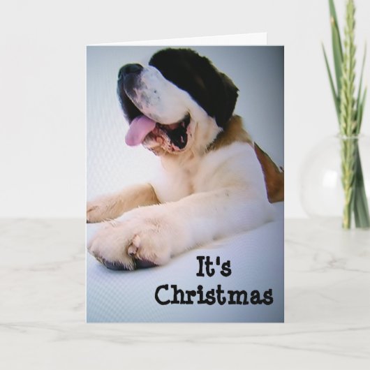 ST. BERNARD ZENDT "HUGE" CHRISTMAS WISSEN FEESTDAGEN KAART (Voorkant)