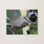 st bernard zittend 2 legpuzzel (Horizontaal)