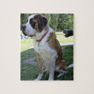 st bernard zittend 2 legpuzzel