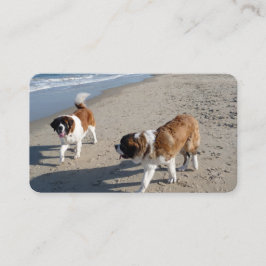 St. Bernards bij het strand Visitekaartjes