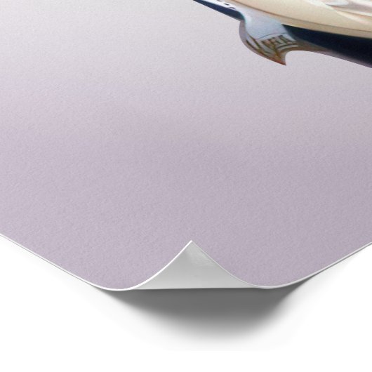 St Catherine Laboure Miraculous Medal Poster (Hoek)