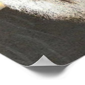 St. Charbel Makhlouf Poster (Hoek)