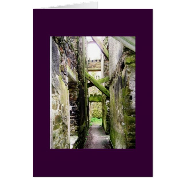 St. Charles Fort, Ierland (Voorkant)