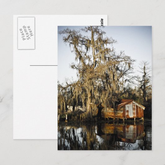 St Charles Parish Swamp Reflections Briefkaart (Voorkant / Achterkant)