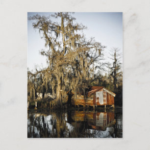 St Charles Parish Swamp Reflections Briefkaart