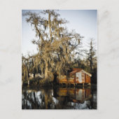 St Charles Parish Swamp Reflections Briefkaart (Voorkant)