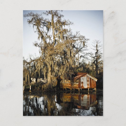St Charles Parish Swamp Reflections Briefkaart (Voorkant)